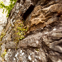 ireland-2013-295
