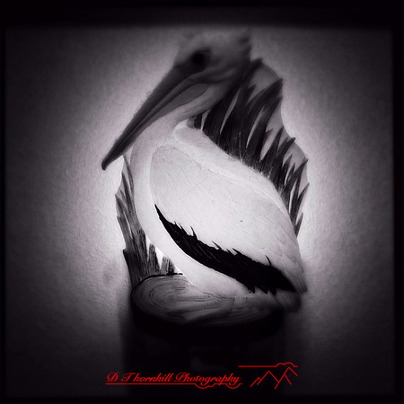 IMG_0331