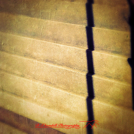 iPhones-2014-068