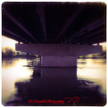 iPhones-2014-056