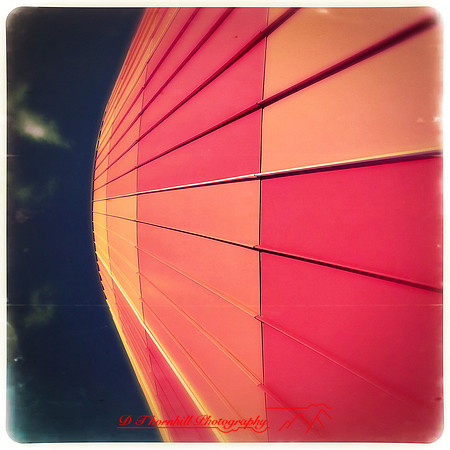 iPhones-2014-075