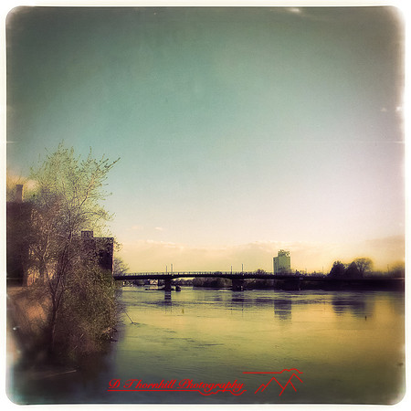 iPhones-2014-055