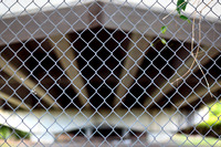 assorted_images-2012-086-nas