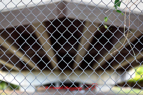 assorted_images-2012-086-nas