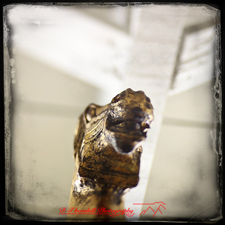 bay_city_images-2012-019-nas