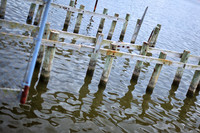 assorted_images-2012-095