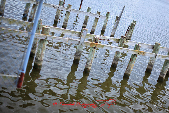 assorted_images-2012-095