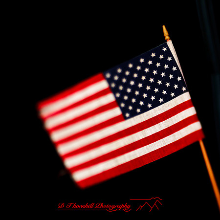 bay_city_images-2012-027