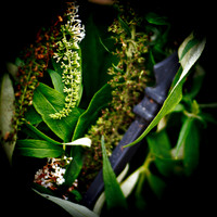 bay_city_images-2012-009