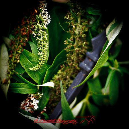 bay_city_images-2012-009