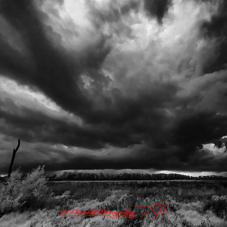 shiawassee infrared-2018-010-n-l-as