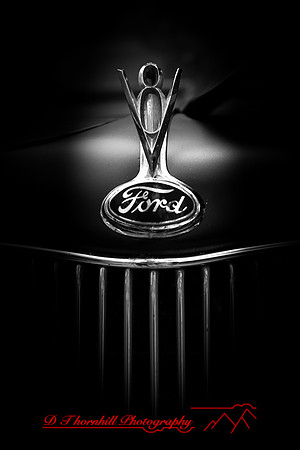cool city cars - 2021 - 019