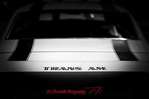 cool city cars - 2021 - 026