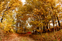 assorted_images-2011_32-01_HDR