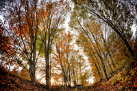 assorted_images-2011_34-01_HDR