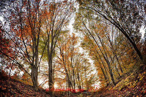 assorted_images-2011_34-01_HDR