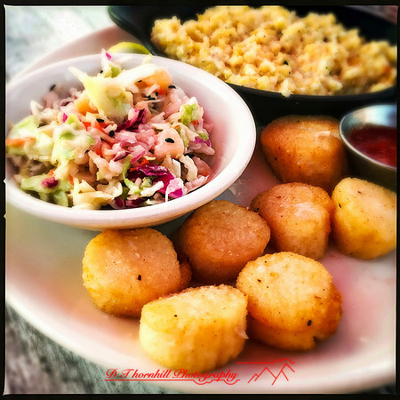 florida-nov-2015-iphone-food-011
