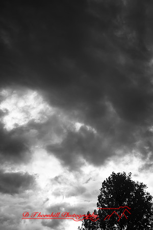 shiawassee infrared-2018-006-n-l-as