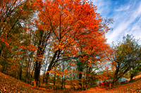 assorted_images-2011_36-01_HDR