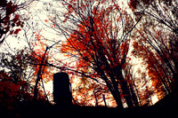 assorted_images-2011_35-01_HDR