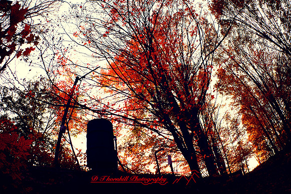 assorted_images-2011_35-01_HDR