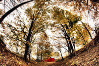assorted_images-2011_33-01_HDR