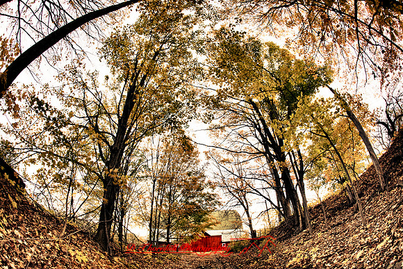 assorted_images-2011_33-01_HDR