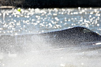 river-roar-2012-saturday-random-003