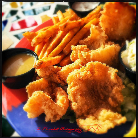 florida-nov-2015-iphone-food-012