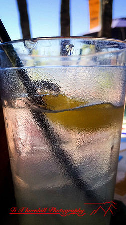 florida-oct-2016-iphone-food-004