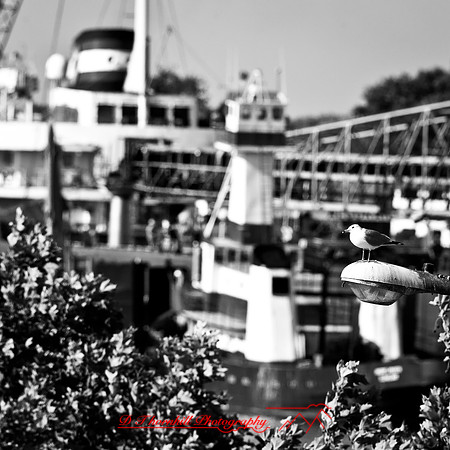 bay_city_struck-ship-2013-044-nas