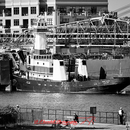 bay_city_struck-ship-2013-045