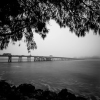 florida-march-2016-004