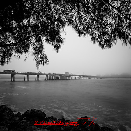 florida-march-2016-004
