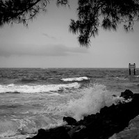 florida-march-2016-008