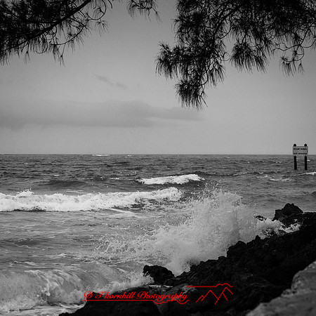 florida-march-2016-008