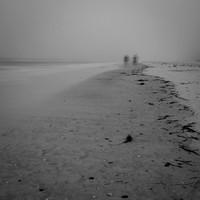 florida-march-2016-002