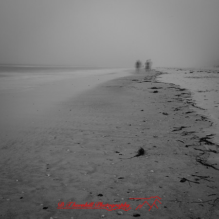 florida-march-2016-002