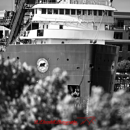 bay_city_struck-ship-2013-043