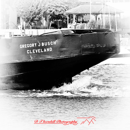 bay_city_struck-ship-2013-033-nas