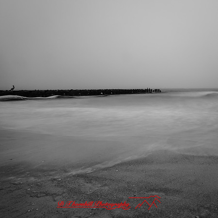 florida-march-2016-001
