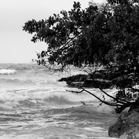 florida-march-2016-009