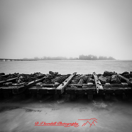 florida-march-2016-003-nas