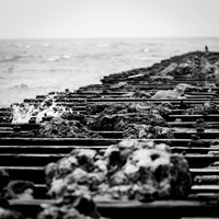 florida-march-2016-006