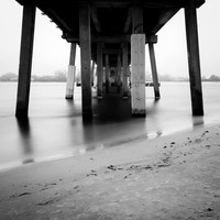 florida-march-2016-005-nas