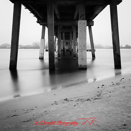 florida-march-2016-005-nas