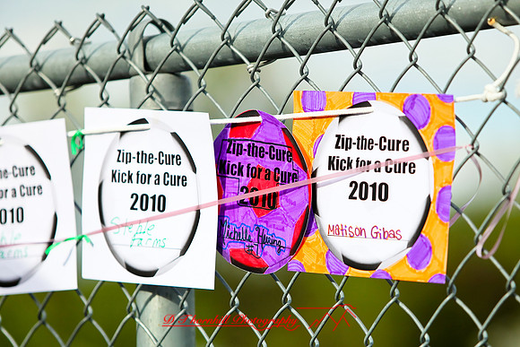 jghs-gs-bc-central-2010_170