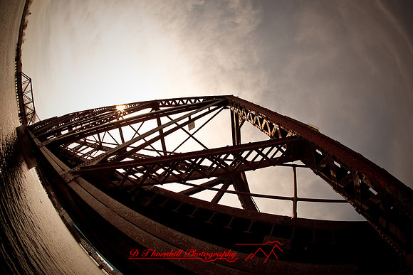 assorted-images-2010_007