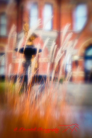 bay_city_images-2010_016