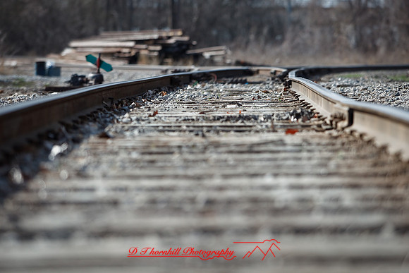 assorted-images-2010_009